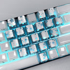 Silver / Blossom