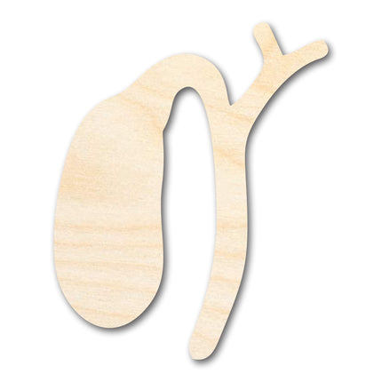 Unfinished Wood Gallbladder Shape | DIY Craft Cutout | up to 46" DIY