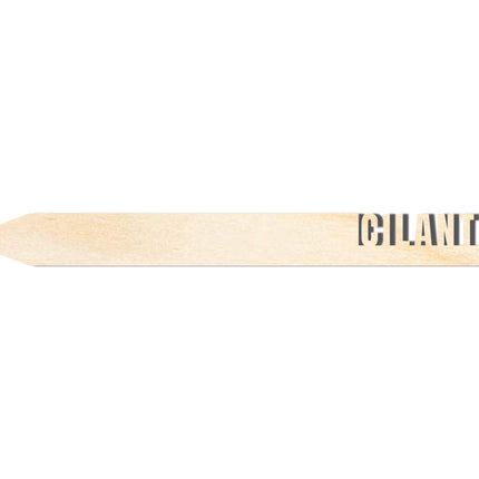Unfinished Wood Cilantro Garden Stake | DIY Craft Cutout | up to 24" DIY