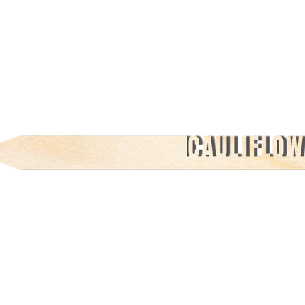 Unfinished Wood Cauliflower Garden Stake | DIY Craft Cutout | up to 24" DIY