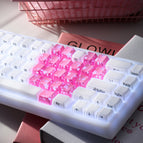 Pink / Blossom