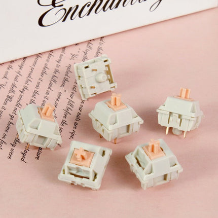MMD Holy Panda Mechanical Switches